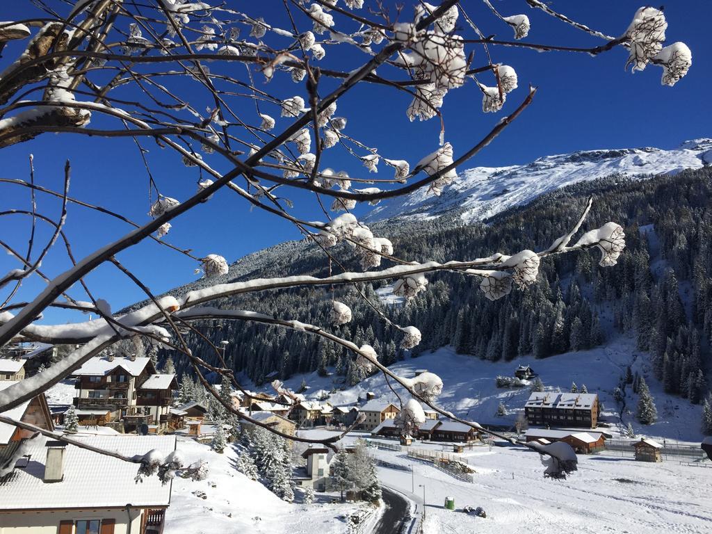 Chalet Bucaneve サンタ・カテリーナ・ヴァルフルヴァ エクステリア 写真